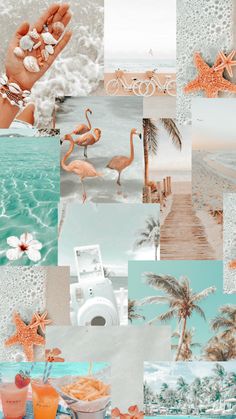 a collage of photos with flamingos and beach scenes in orange, white and blue