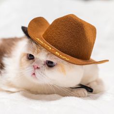 a cat wearing a brown cowboy hat on top of it's head, looking at the camera