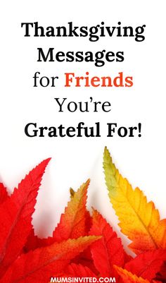 Get inspired with funny & heartwarming Thanksgiving messages for friends in 2024! From hilarious quotes & cute sayings to grateful greetings, share your love with family, best friends, & friend groups. These Christian-inspired wishes & blessings will spread happiness & thankfulness to all. Perfect for sharing images & inspirational messages with the people you cherish most. Send funny, thankful, & happy vibes with these hilarious & uplifting messages this Thanksgiving. Grateful Messages To A Friend, I’m Thankful For You, Thankful For Friends Quotes, Grateful For You Quotes, Wishes For Friends Quotes, Autumn Love Quotes, Letterboard Quotes Short, Welcome Autumn Quotes, Thankful For You Quotes