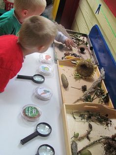 two young boys looking through magnifying glass at plants and insects on a table