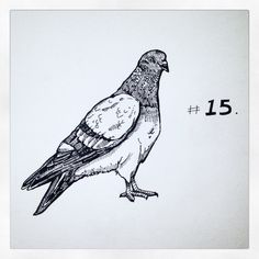 a drawing of a bird sitting on top of a white paper with the number fifteen