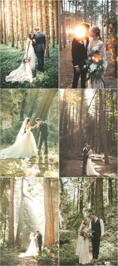 a collage of wedding photos in the woods with text that reads forest and woodland wedding ideas