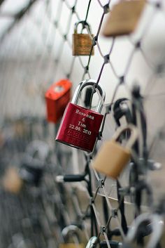 several padlocks attached to a chain link fence with red locks on the top