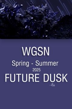 the cover of wgsn's spring - summer 2012 future disk, with rain falling