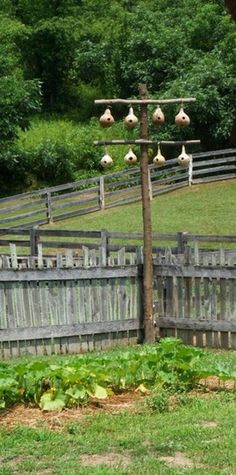 a wooden fence with several birds on it