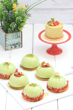 four cakes sitting on top of a white plate next to a potted plant and knife