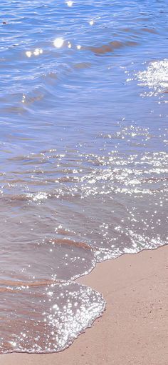 the dog is walking on the beach near the water