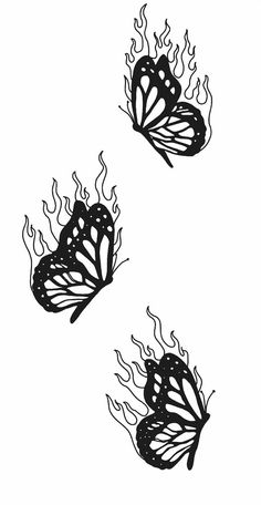 two black and white butterflies flying in the air with flames coming out of their wings