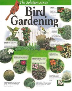 an advertisement for the solution series bird gardening, with pictures of birds and flowers in it