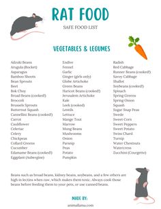 the rat food list is filled with vegetables and legumes, including carrots