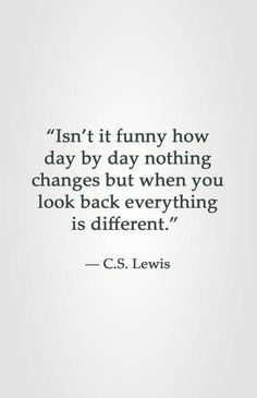 a quote that reads, isn't it funny how day by day nothing changes but when you look back everything is different