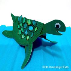 a paper plate turtle with eyes on it's back