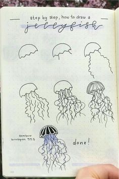 an open book with drawings of jellyfish