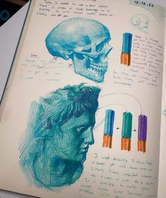 an open book with drawings on it and a drawing of a human skull in the middle