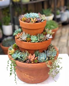 three tiered planter filled with succulents on top of a table