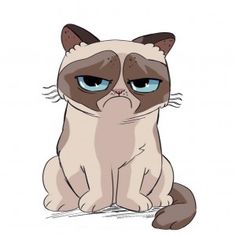 the grumpy cat with blue eyes is sitting down