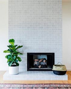 a fireplace with a potted plant next to it