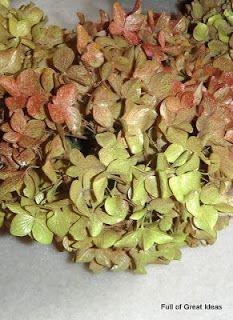 some green and brown plants on a white surface