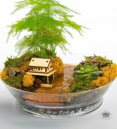 a miniature house in a glass bowl filled with plants