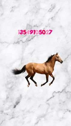 a brown horse running across a white marble floor next to a pink and black sign