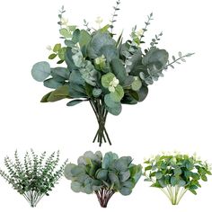 four different types of flowers and greenery arranged in the same arrangement on a white background