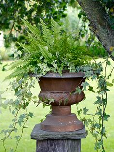 a potted plant sitting on top of a wooden post