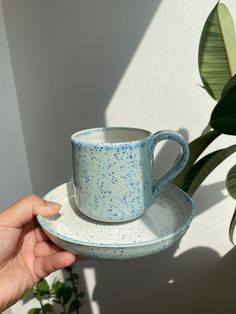 a hand holding a blue cup and saucer in front of a potted plant