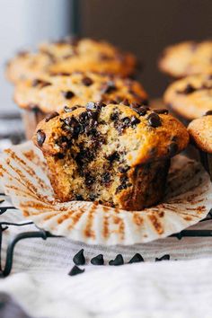 chocolate chip muffins on a paper plate