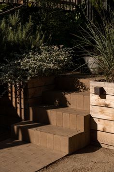 the steps are made out of wood and have planters on them, along with other plants