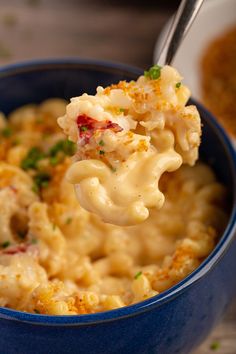 a blue bowl filled with macaroni and cheese