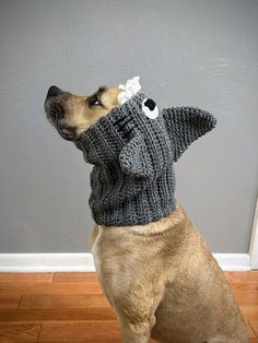 a dog wearing a knitted sweater with an eye patch on it's nose