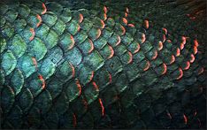 an image of a fish's scales in red and green