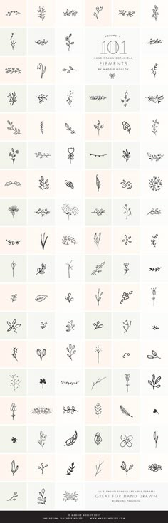 the different types of flowers are shown in black and white