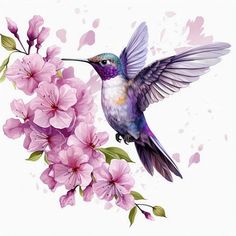 a hummingbird flying over pink flowers with watercolor paint effect on the wings and back