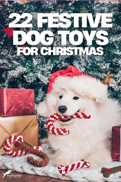 Festive Dog Toys for Christmas, christmas dog, dog toys Christmas Tops