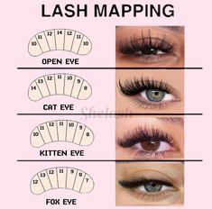 Credit: @shelashofficial on Instagram. Discover the ultimate guide to lash extension mapping with detailed images showcasing various styles. Perfect for lash artists and beauty enthusiasts looking to enhance their skills and create stunning lash looks!! Pink background, lash extensions, lash mapping, open eye, cat eye, kitten eye, fox eye, blue eyes, hazel eyes, brown eyes. #lashextensions #beautyhack #lashmap #lashtech #lashtips #lashesfordays #lashes #beautytrend Extension Eyelashes Styles, Open Lash Extensions, Lash Map Fox Eye, Fox Eyelash Extension Map, Fox Eye Eyelash Extensions Mapping, Cat Eyes Eyelash Extensions, Y Lashes Extensions, Cat Eye Eyelash Extensions Map, Cluster Lashes Cat Eye