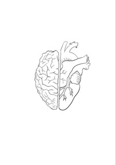 a black and white drawing of a human heart