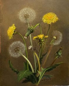 a painting of dandelions on a brown background