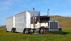 a large semi truck is parked in the grass