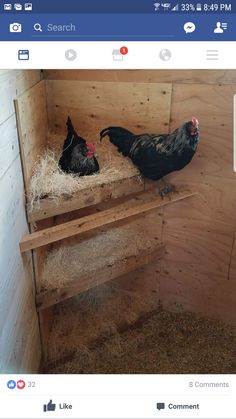 two chickens in a chicken coop with hay