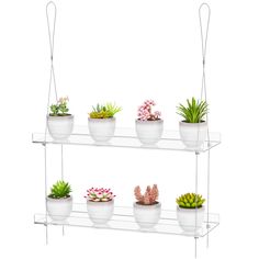 four tiered glass shelf with plants on top and two hanging hooks for each shelf