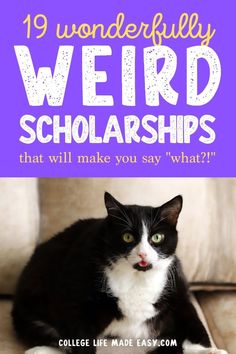 a black and white cat sitting on top of a couch with the title 19 wonderful weird scholarships that will make you say what