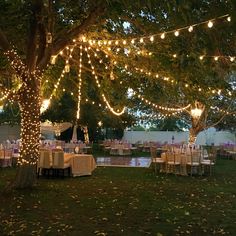 an outdoor dining area is lit up with fairy lights and tables set for dinner under a tree