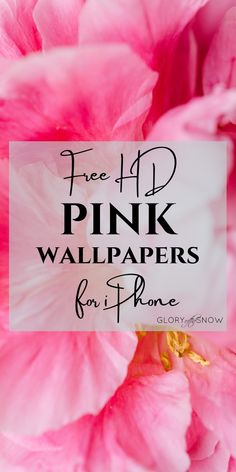 pink flowers with the words free 4p pink wallpapers for iphone on it