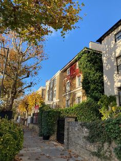 an apartment building with ivy growing on it's side and trees lining the street