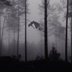 a man flying through the air while riding a snowboard in front of some trees