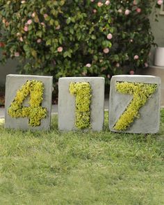 the letters are made out of cement blocks with moss growing on them