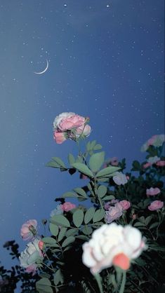 some pink flowers and a half moon in the sky