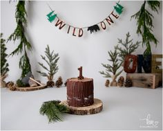 a brown cake sitting on top of a wooden stump next to pine cones and evergreen branches