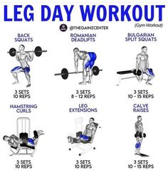 a poster showing how to do the leg day workout